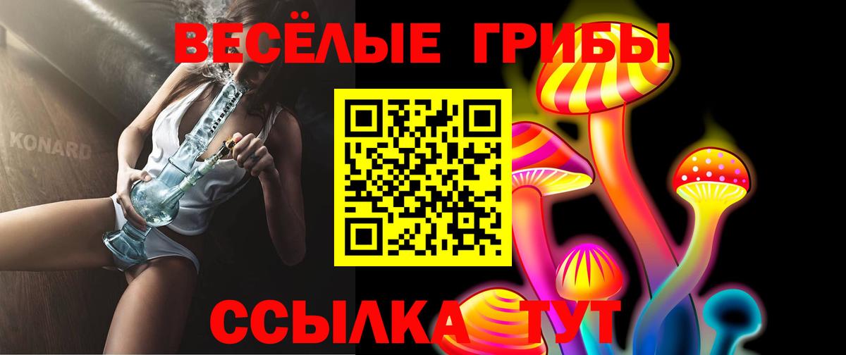 Псилоцибиновые грибы Psilocybe  Галлюциногенные грибы мухоморы  Вход с VPN  Котовск 